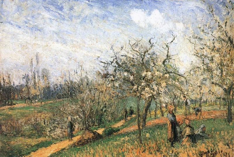 Camille Pissarro Pang map of apple Schwarz oil painting image